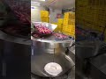 Rotary Feeder + Servo Space Feeders + Auto Bagging Machine_Puffy Corn Fingers filled with Cream