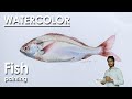 Watercolor Fish Painting | How to Paint Fish Scales | step by step | Supriyo
