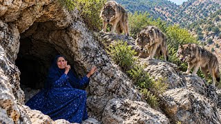 Information Horrifying moment wolves attack an old nomadic woman in a magical cave Guide