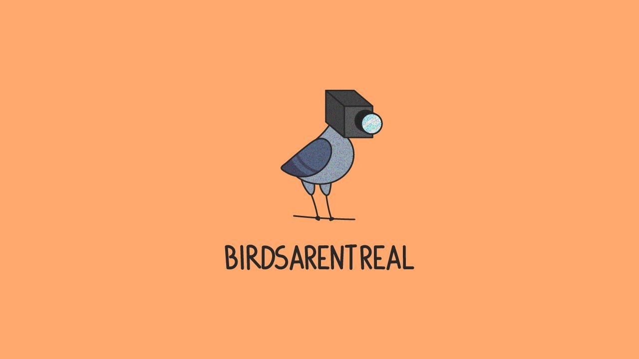 BIRDSARENTREAL (feat. Nick Corcillo & Alfredo Ramírez)