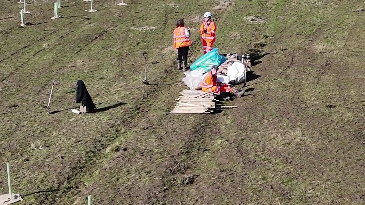 Rory's Wood Tree Planting At Grafham Water