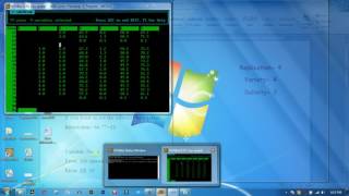 How to make DMRT by MSTATC statistical software HD part 3