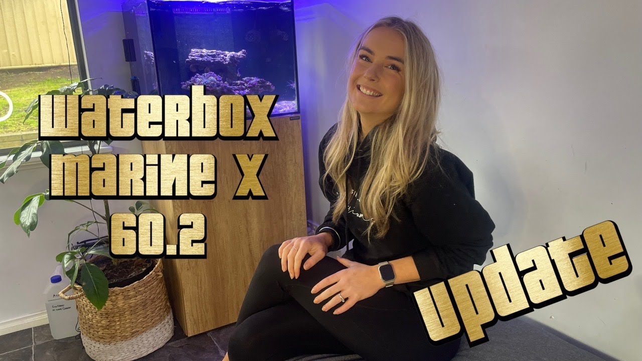 Waterbox Marine x 60.2 Full tank update YouTube