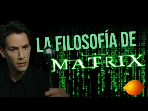 Video: ¿Qué es la anatomía Matrix?