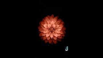 قرآن راحة نفسية🌼💙| ستوريات قران كريم || قرأن حالات واتس اب 🖤| ستوري أنستغرام قران | مقاطع قرأن قصيرة