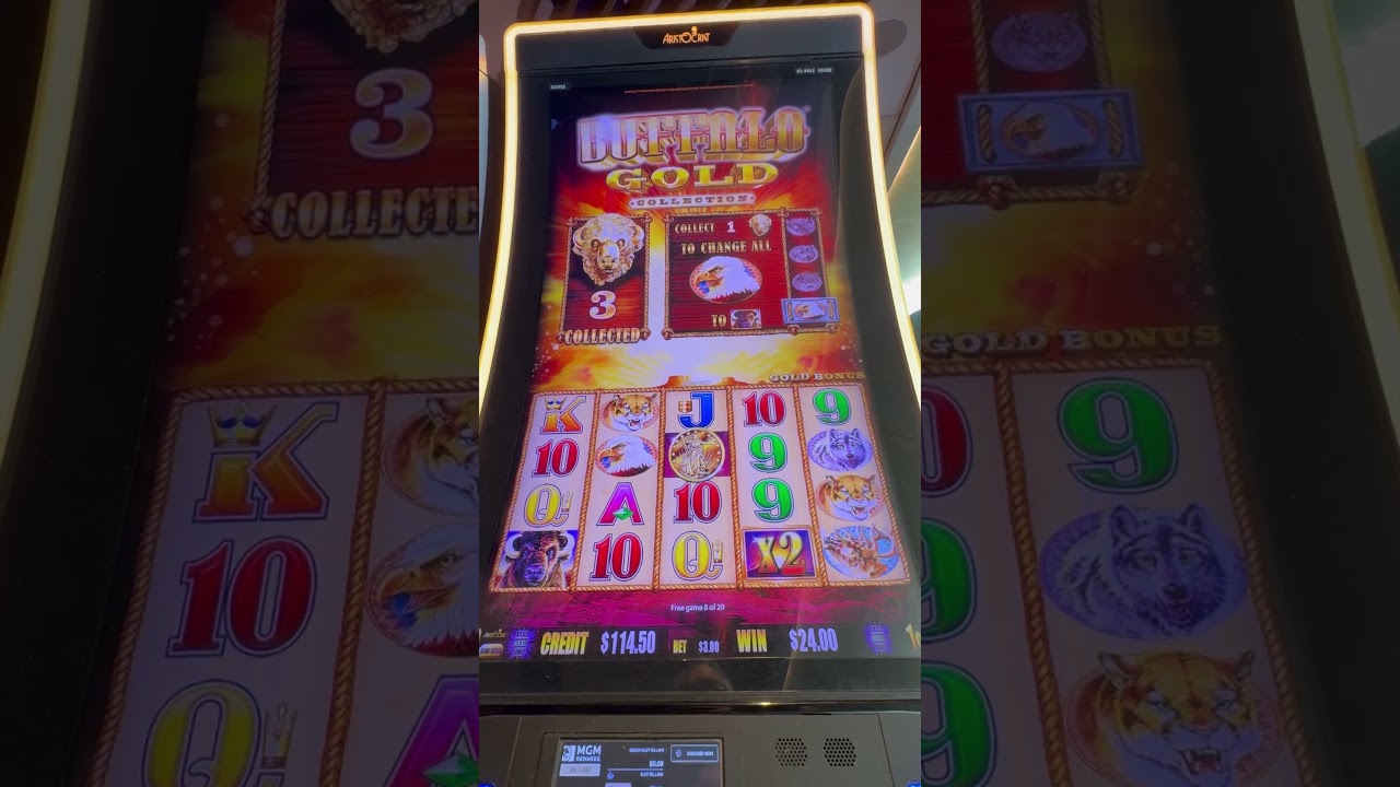 đăng ký vn123 app đánh bài kiếm tiền Tidy lil BUFFALO BONUS!!! slot casino buffalo