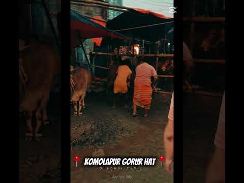 Qurbani 2k25