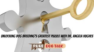 Unlocking Dog Breeding's Greatest Puzzle with Dr. Angela Hughes