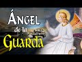 EL ÁNGEL DE LA GUARDA. Hecho de la Vida real  | Buenas noches con María