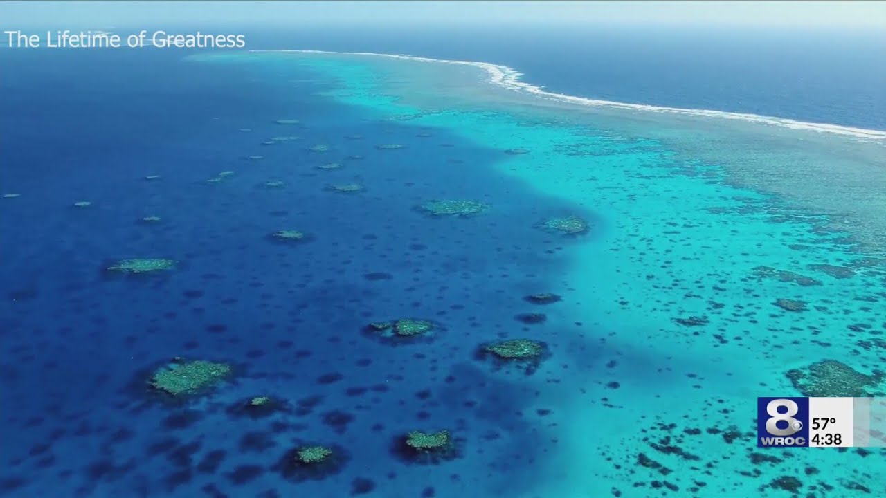 Experts say Great Barrier Reef teaches climate change solutions ...