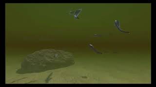 Freshwater fish complete pack URP