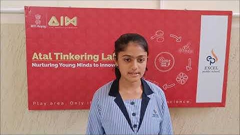 AI Driver Monitoring System