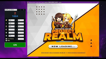 Ragnarok No Delay with Autopots for Gepard servers.