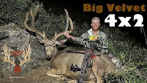 2024 Archery Mule Deer BIG 4x2