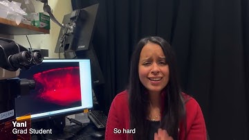 2024 Zon Lab Halloween Video - The Bachelor of Science