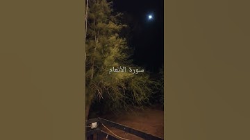 تلاوة من سورة الأنعام من الآية 160 حتى 163