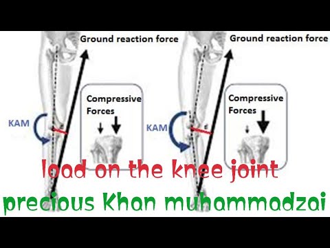 Patellar Loading load on knee joint/biomechanics of knee joint part 4 - YouTube