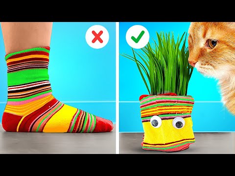 Как сделать удивительный домик для котенка из подручных средств  Best Pet Hacks by 5-Minute Crafts