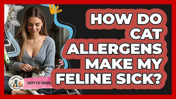 How Do Cat Allergens Make My Feline Sick? - Happy Cat Handbook