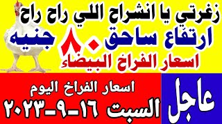 اسعار الفراخ اليوم| سعر الفراخ البيضاء اليوم السبت 2023/9/16 في مصر