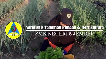 Company Profile SMK Negeri 5 Jember