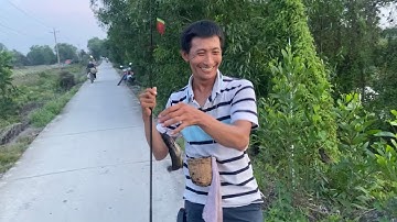 Săn cá trê vàng Tràm Mù Thất thủ mà vui ae àk ,