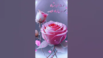 دعاء المساء اللهم بك أمسينا وبك أصبحنا وبك نحيا وبك نموت وإليك المصير 