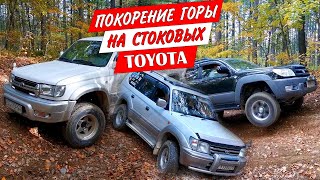 :  Toyota Land Cruiser Prado  Hilux Surf       