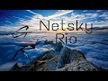 Netsky ~ Rio