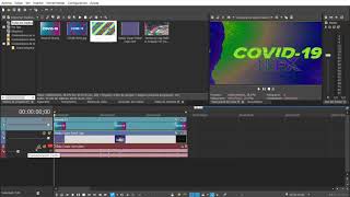 How to make COVID 19ormulator V3 On Vegas Pro