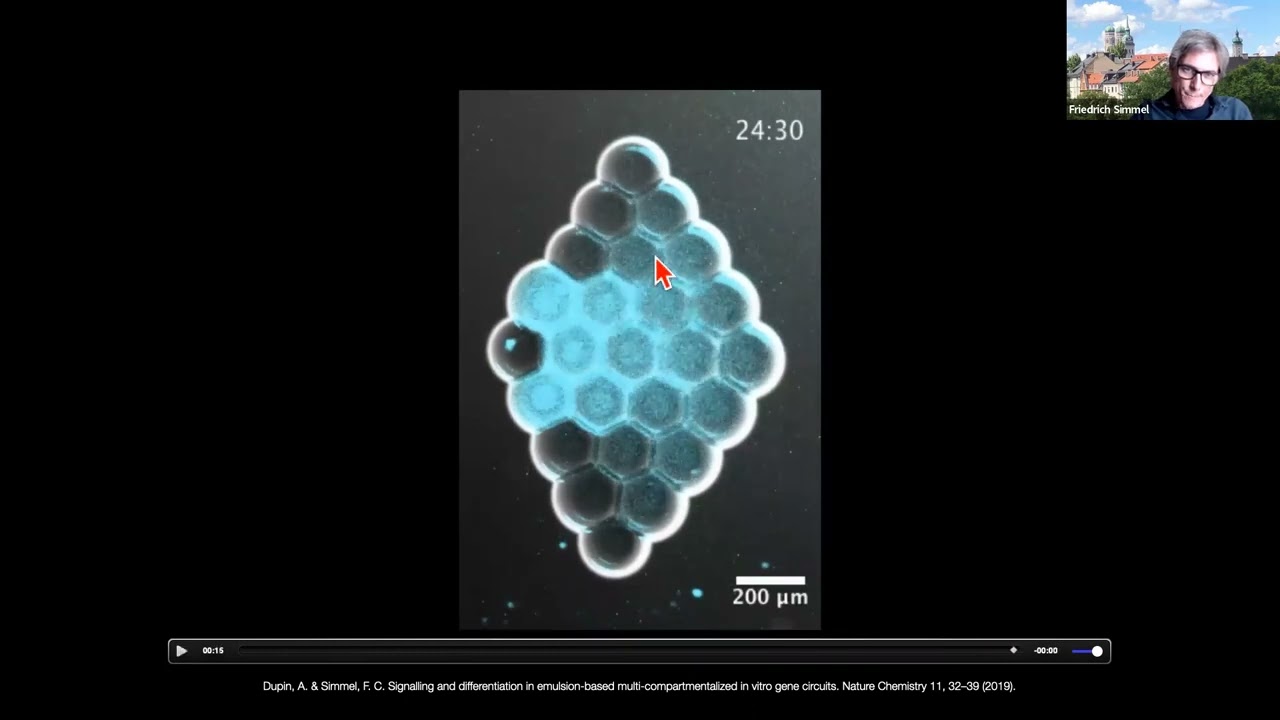 Build-a-Cell seminar Friedrich Simmel: Cell-free gene circuits