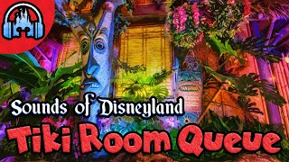 Enchanted Tiki Room Queue Music & Atmosphere Loop | SOUNDS OF DISNEYLAND