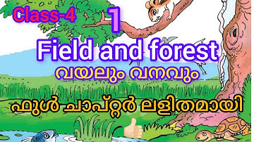 class- 4/ EVS / chapter 1 / field and forest / SCERT-2024👍🏻