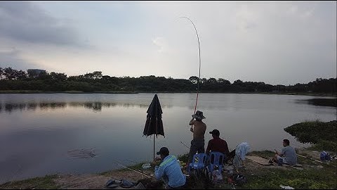 Câu cá ở hồ đá làng đại học, vui chơi tại làng đại học.