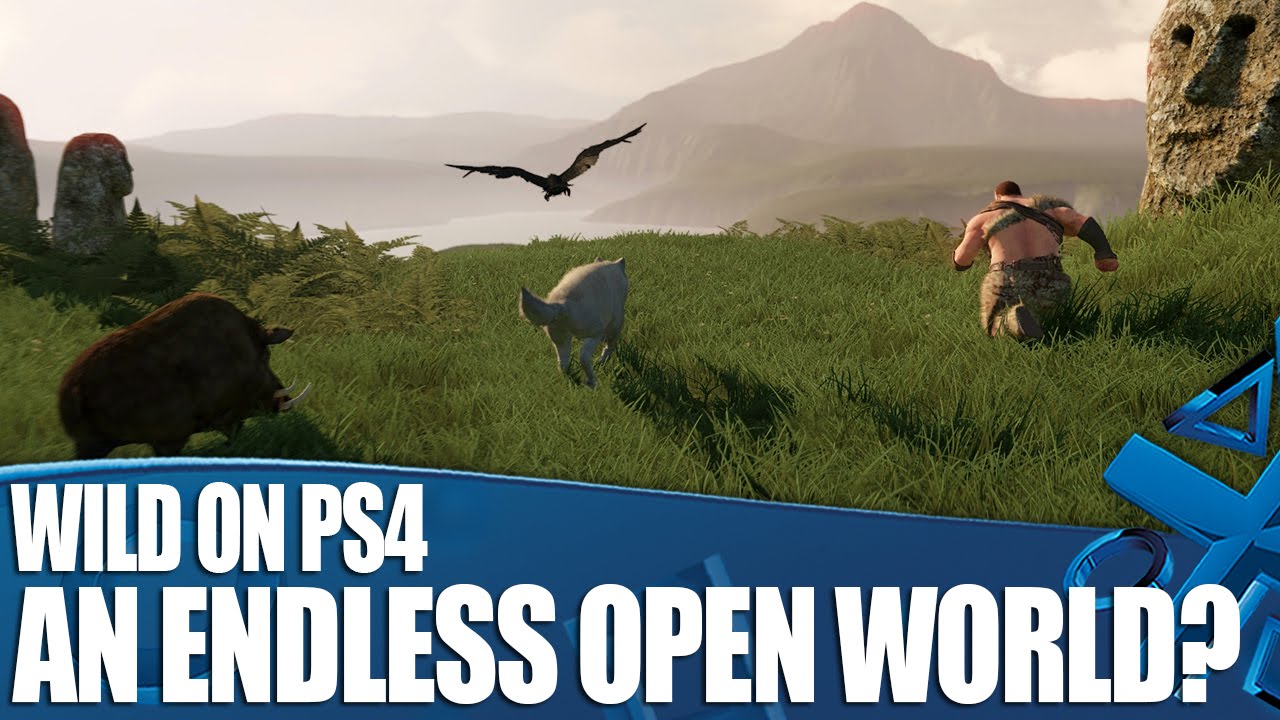 Wild on PS4 - A Truly Endless Open World? - YouTube