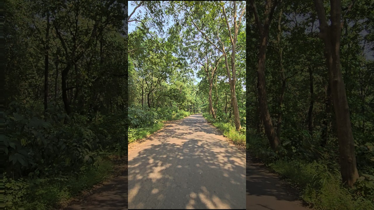 The ride on India's borders 🇮🇳⛰️ 