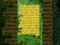 పార్థినియం హిస్టెరోఫోరస్ యొక్క ప్రభావాలు#parthenium #vayyaribhama