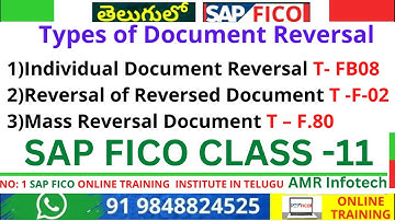 Individual Document Reversal T- FB08 - Mass Reversal Document T  F.80 - Reversal of Reversed T -F-02