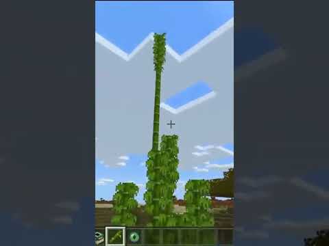 EXPERIMENT NO.7 IF WE SET BAMBOO IN END PORTAL? #minecraft #minecraftshorts #shorts #ytshorts