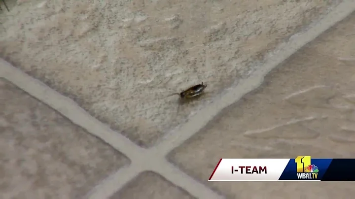 Howard County resident complains of roach infestat...