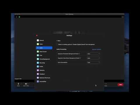 Zoom Audio Settings for Music Lessons - YouTube