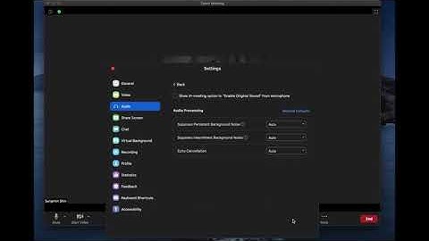Zoom Audio Settings for Music Lessons
