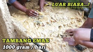 INDONESIAN INDIGENOUS GOLD MINE || INDONESIAN GOLD MINER || GOLD MINING