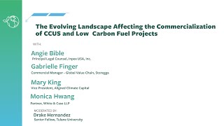 The Evolving Landscape Affecting the Commercialization of CCUS and Low Carbon Fuel Projects