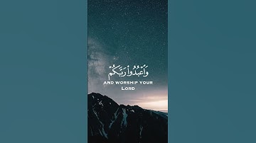 سورة الحج/الآية 77