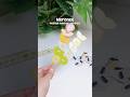 #review #diy