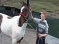 Tales of the road a unique insight into mens lives and their horses