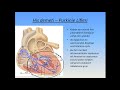 EKG ÖĞRENME VE OKUMA -  TEMEL EKG / 1. BÖLÜM