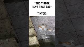 Bro Tiktok Isnt That Bad