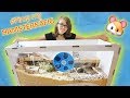 Hamster retten 🐹 ULTIMATIVES TRAUMHAUS 🐾 #PimpmyHAMSTERKÄFIG01 🎬♥